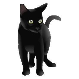 Black Cat PC - Providing Dell Parts Since 1998  | Black Cat PC